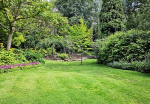 Optimiser l'expérience du jardin à Belmont-les-Darney